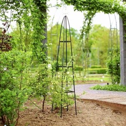 Traliccio per rampicanti e rose in ferro da giardino