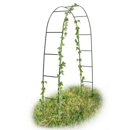 Archetto per rampicanti e rose da giardino