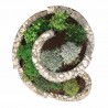 Gabbione a spirale per orto rialzato in giardino