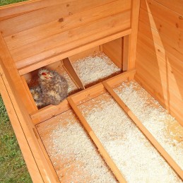 Casetta pollaio per galline da giardino in legno