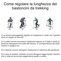 Bastoncini trekking telescopici ammortizzati