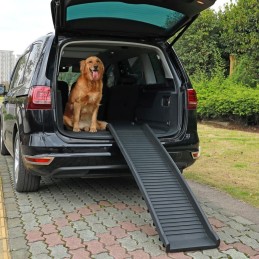 Rampa cani anziani per auto