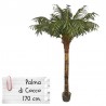 Piante finte da arredo: Palma da Cocco 170 cm.