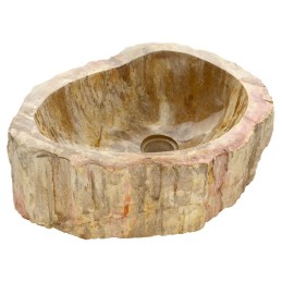 Lavabo fatto a mano in legno pietrificato per bagno