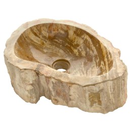Lavandino fatto a mano in legno pietrificato per bagno