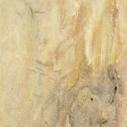Lavandino artigianale in legno fossile per bagno