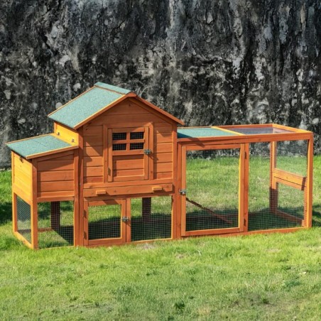Pollaio in legno da giardino per 3 galline ovaiole o 4 nane