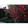 Albero di Natale luminoso da esterno con luci led rosso
